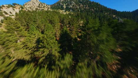 Drone-Fpv-Volando-Justo-Encima-De-Pinos-En-Una-Montaña-Rocosa-Con-Cielos-Azules