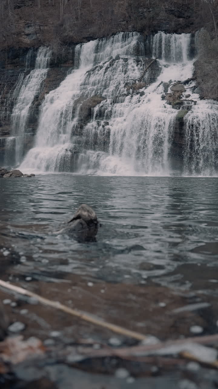 Multi-tiered Waterfall in a Forest