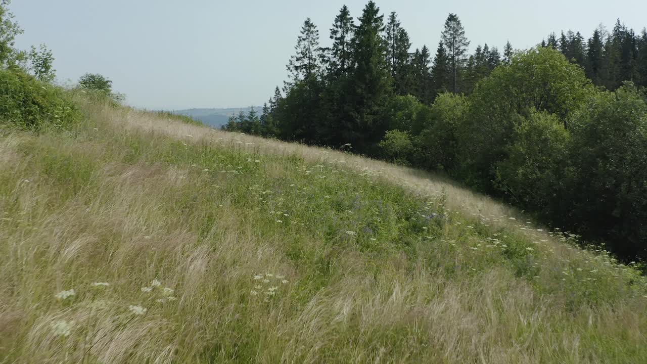 시골 에 꽃 들 과 나무 들 이 있는 봄 의 산 들