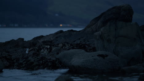 felsen, die von wasser umgeben sind, mit verschwommenem straßenlicht dahinter