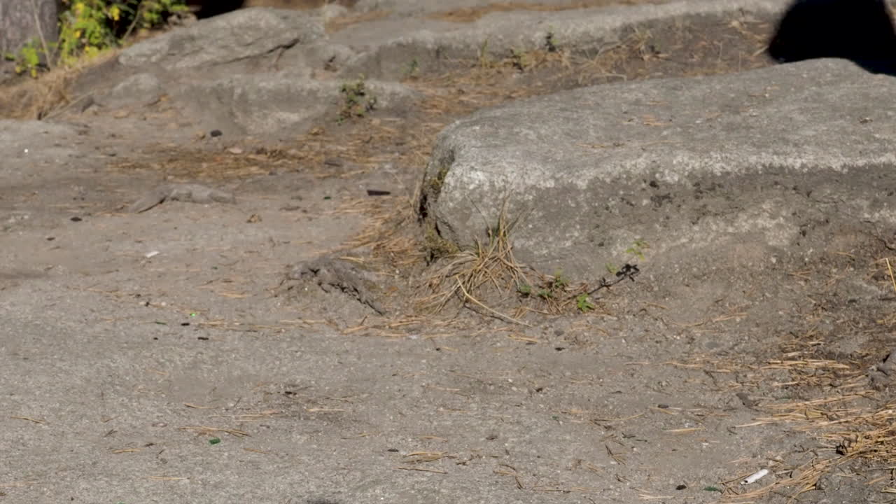 Woman walking up steps outdoors