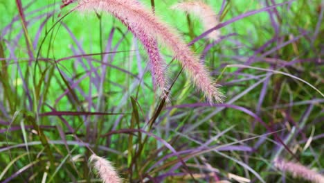 swaying grass in a vibrant green backdrop