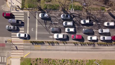 Arriba-Hacia-Abajo-De-La-Antena-De-Automóviles-Y-Autobuses-Que-Conducen-En-Carriles-Separados,-Metrobús-De-Buenos-Aires