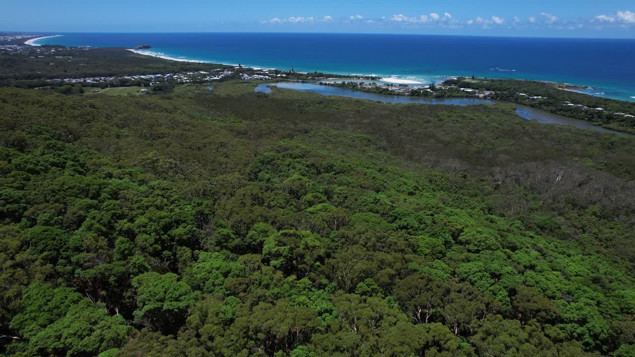 Fly over tett kystvegetasjon nær Cudgera Creek i Hastings Point i New South Wales, Australia. Luftfoto