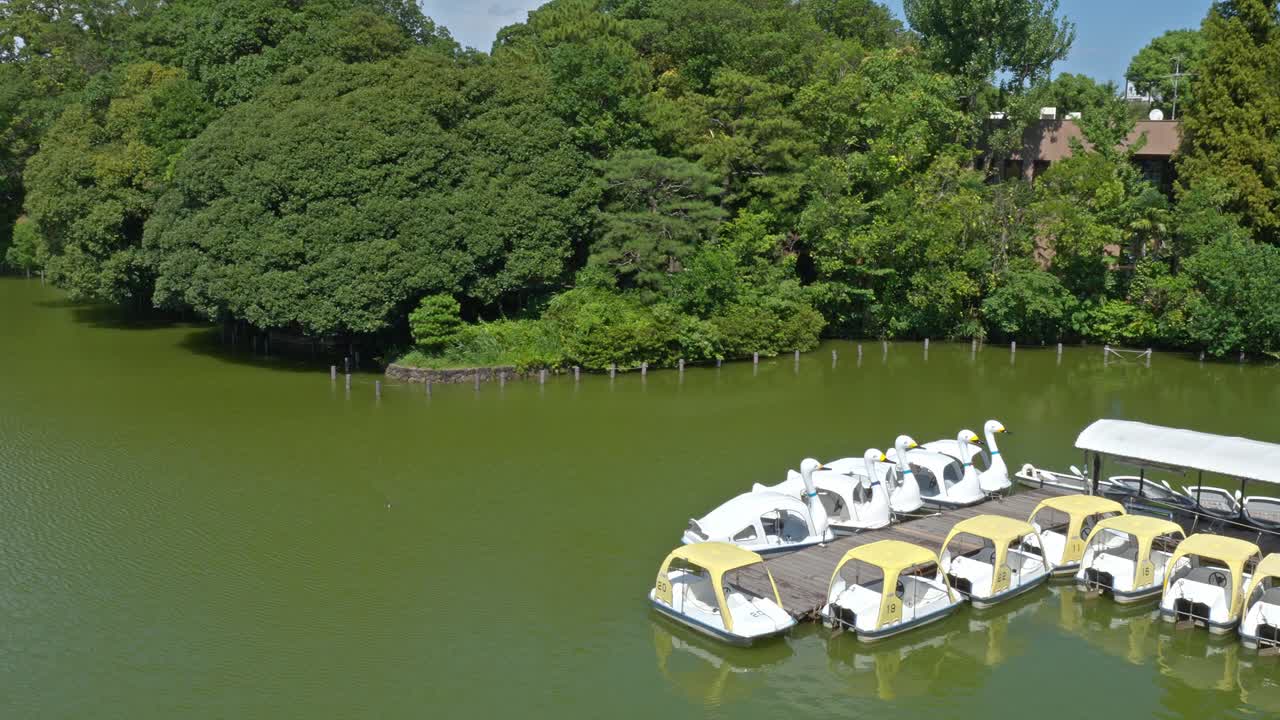 An aerial view shows the tranquil green waters of Senzokuike Pond in Tokyo, with numerous swan and pedal boats docked, surrounded by lush trees under a bright sky.