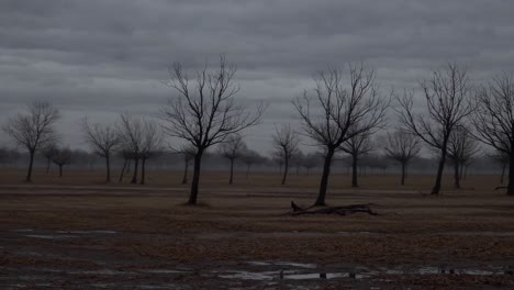 gloomy and evocative landscape showing leafless trees scattered across misty fields under a dark, cloudy sky, evoking a sense of melancholy and solitude in nature