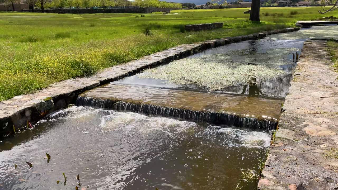 el curso de un arroyo que está canalizado con piedras y tiene pequeñas cascadas, donde la cámara ve al azar su ubicación en un hermoso prado verde, las flores acuáticas crecen a lo largo de su camino