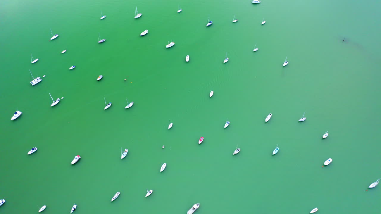 Aerial View of Numerous Sailboats on Calm Green Water