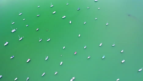 aerial view of numerous sailboats on calm green water