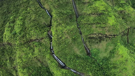 aerial view of lush rainforest waterfalls