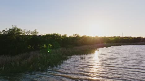 Sumpfiger-Strand-Am-Lake-Ray-Hubbard-In-Rockwall,-Texas