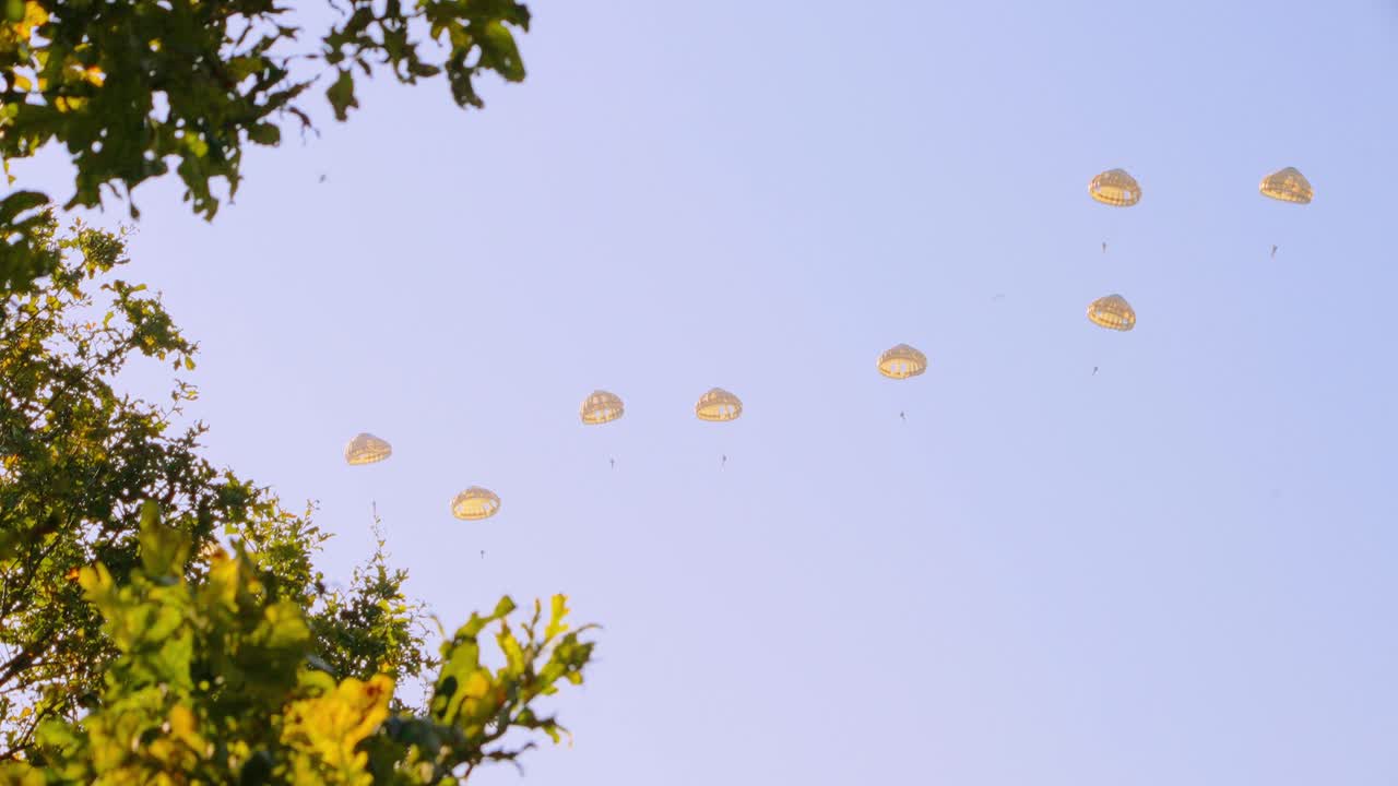 A group of parachutists in yellow canopies descends in a line formation, framed by tree foliage in the foreground. Captured during a military exercise on a clear day at Ginkelse Heide, Netherlands