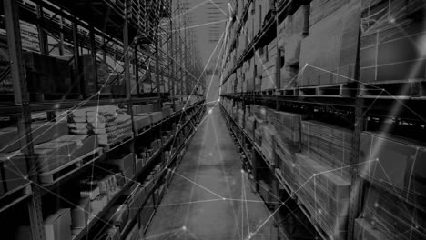 animation of network of connections over shelves in warehouse