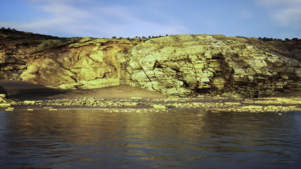 Ambienti ecologicamente ricchi e colorati prosperano nelle zone intertidali illuminate dal sole