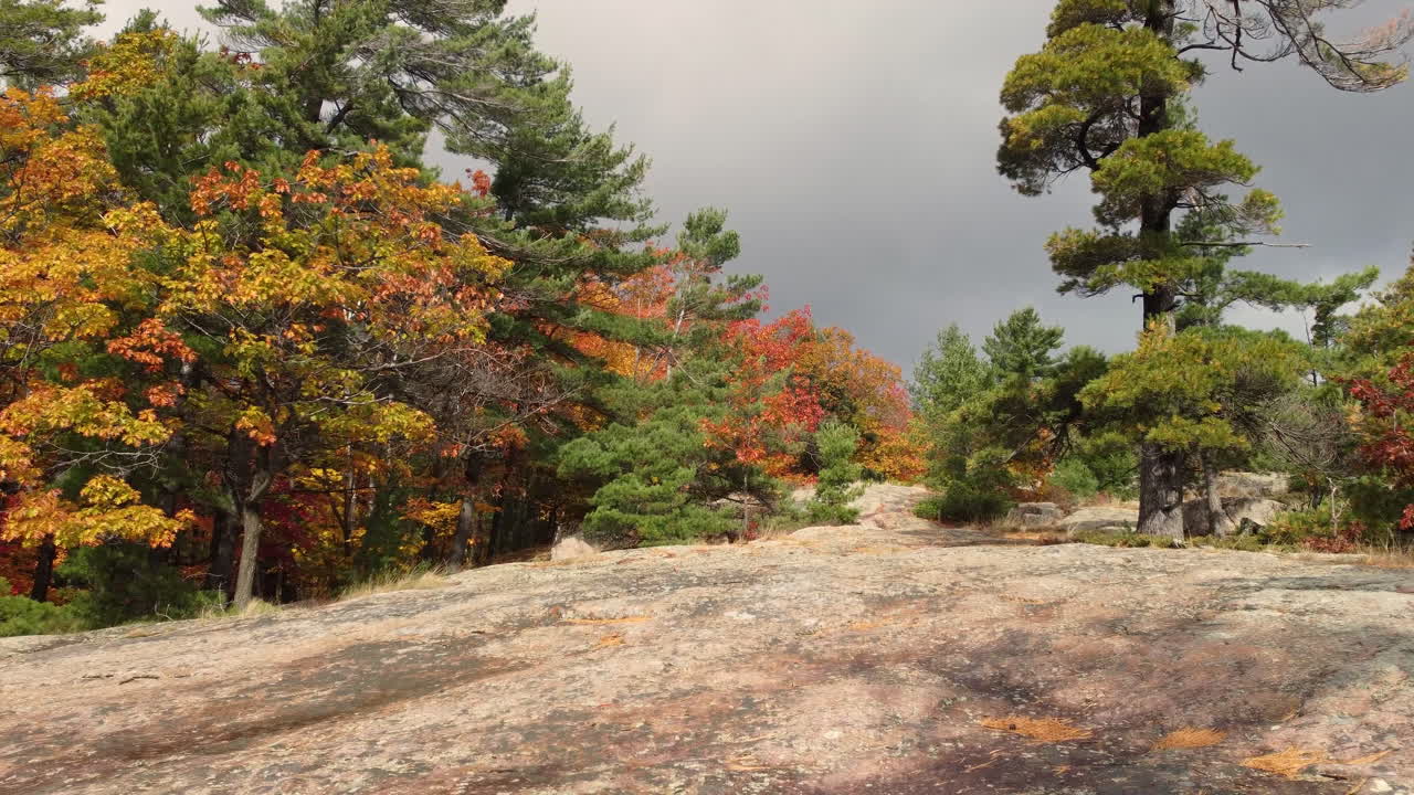 캐나다 킬베어 주립공원을 통해 낮고 느리게 날아가는 드론 샷