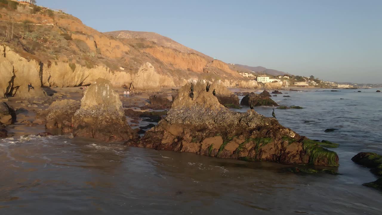 vista aérea de pájaros parados en una pila de mar en la playa el matador con gente caminando en la orilla, océano pacífico norte malibu california