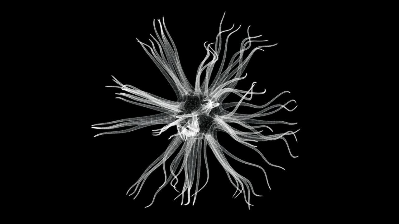 덴드라이트와 함께 유기 세포의 홀로그램 스크린 3d - 루프