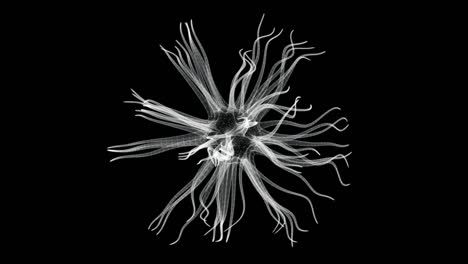 pantalla holográfica 3d de una célula orgánica con dendritas - bucle