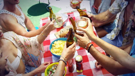 raising drinks, people celebrating with snacks on checkered tablecloth at picnic