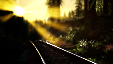 autumn colours along a railway track at sunset