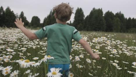 child running through a chamomile field