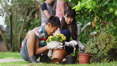 Happy-asian-brother-and-sister-in-garden,-planting-flowers-and-talking,-with-parents-in-background