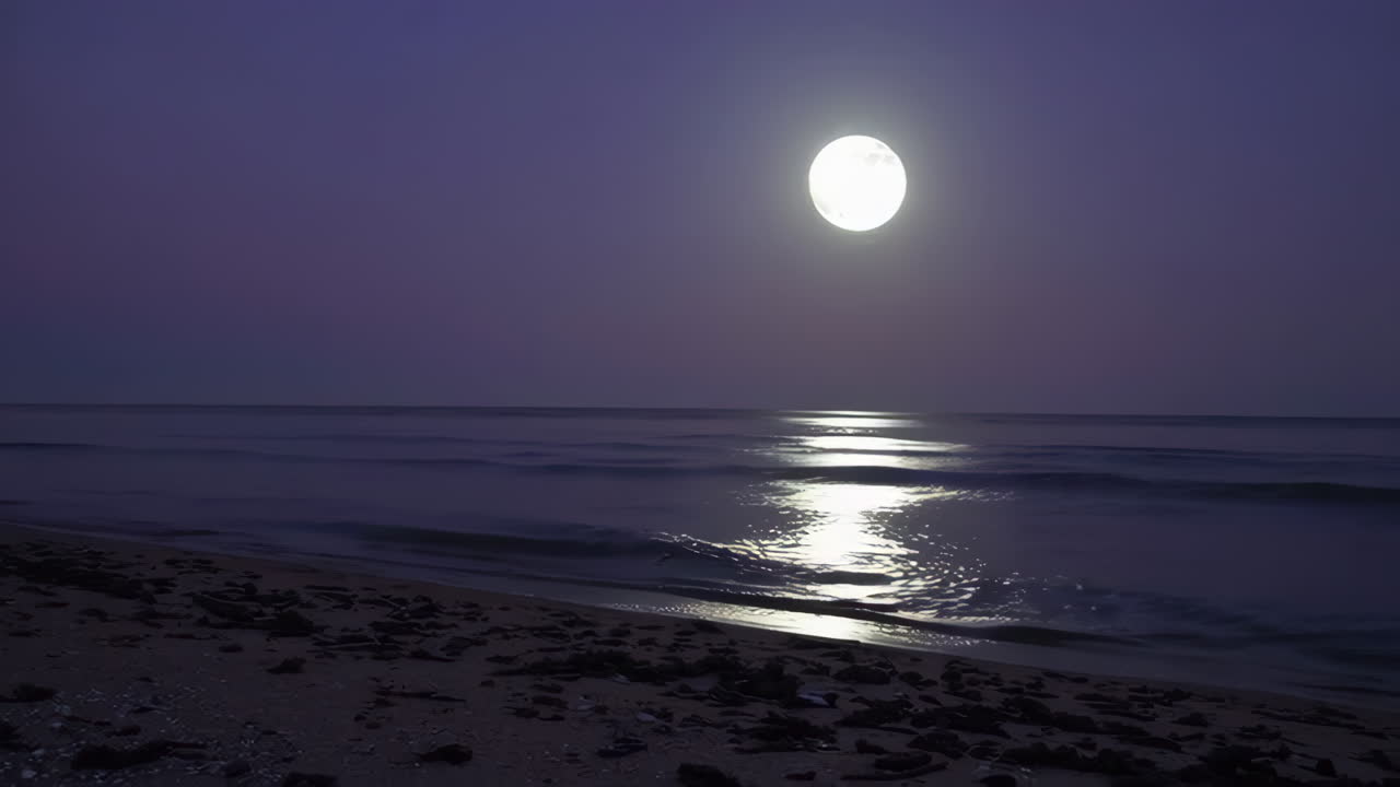 Moonlight Beach Scene