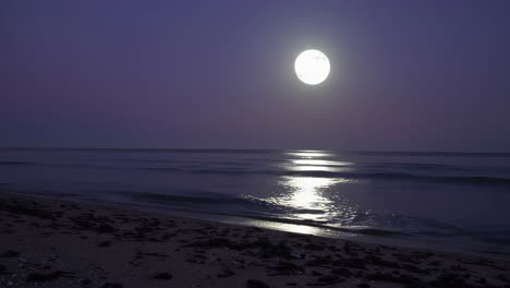 moonlight beach scene