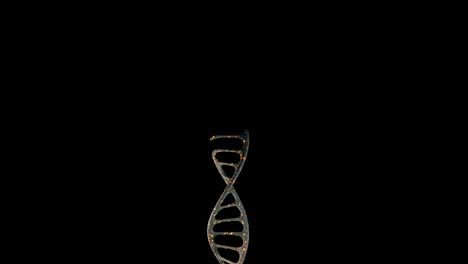 3d animation of dna growth on the black background. the surface material is black and flame color. with alpha channel.