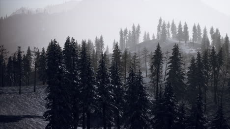 Verschneite-Uralberge-Im-Winter