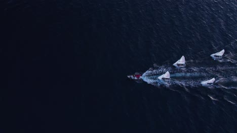 Motorboat-towing-four-white-sail-boats-on-dark-blue-sea,-sunset,-top-down-aerial