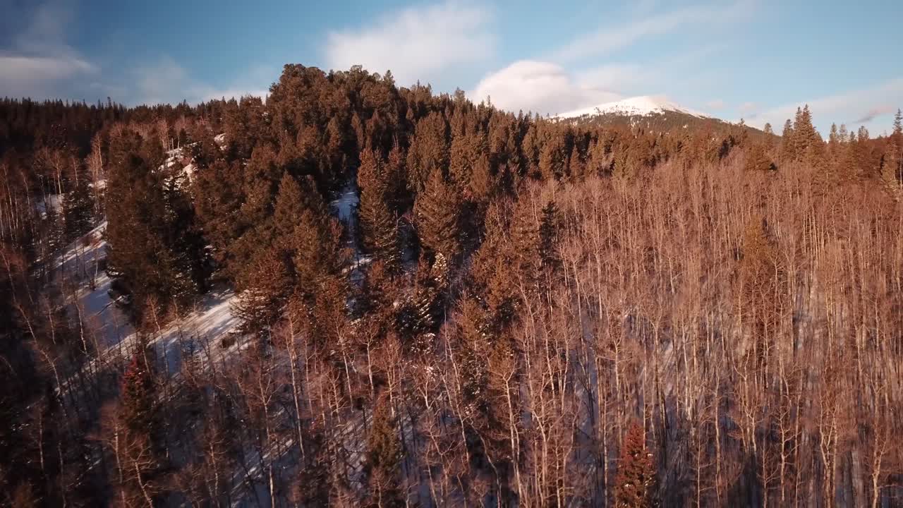 Fast aerial dolly shot of snowy forest