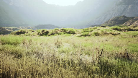 a grassy field with mountains in the background