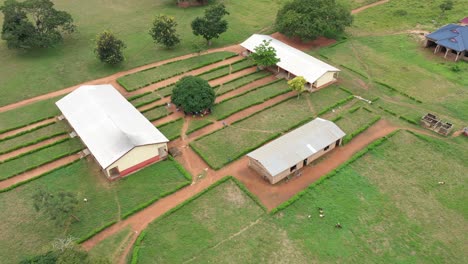 School-compound-in-Ghana,-Africa_1