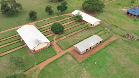 school compound in ghana, africa_1