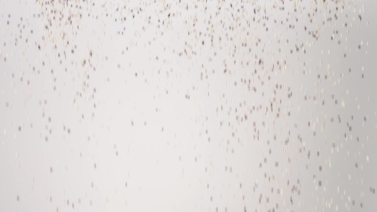 Plantebasert protein supermat trefarget quinoa som regner ned på en hvit bakgrunn i sakte film nærbilde makro