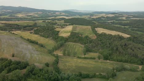 aerial images of tuscany in italy cultivated fields summer, european agriculture