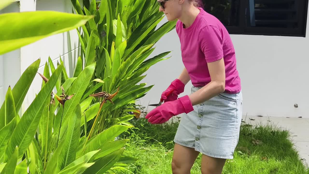 열대 정원에서 정원 가꾸는 여자