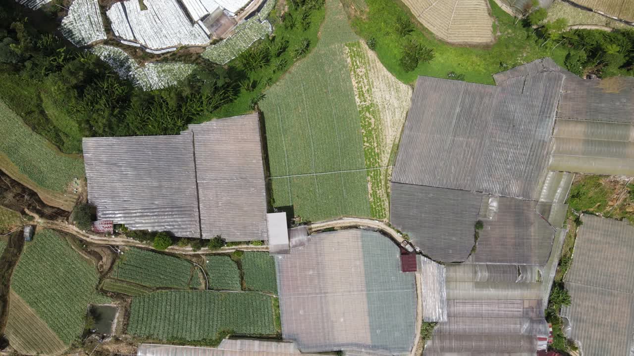 말레이시아의 카메론 하이랜드 지역 내의 브린창 지역의 일반 풍경