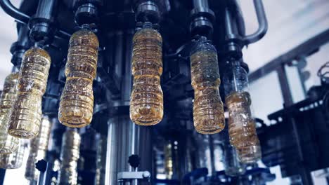 cooking oil production. plastic bottles filling with olive oil inside the modern factory. automated machine moving on a circle way with refined oil. view from below.