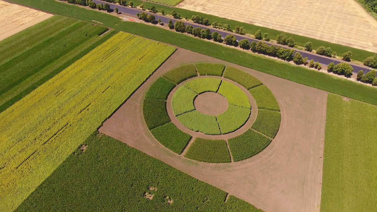 Round area with crops amongst usual croplands. Highway going along the green farmlands. Aerial view.