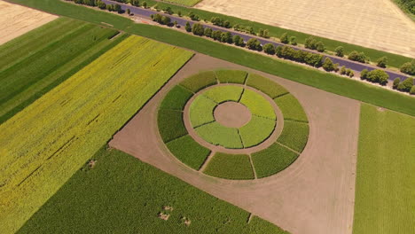 round area with crops amongst usual croplands. highway going along the green farmlands. aerial view.