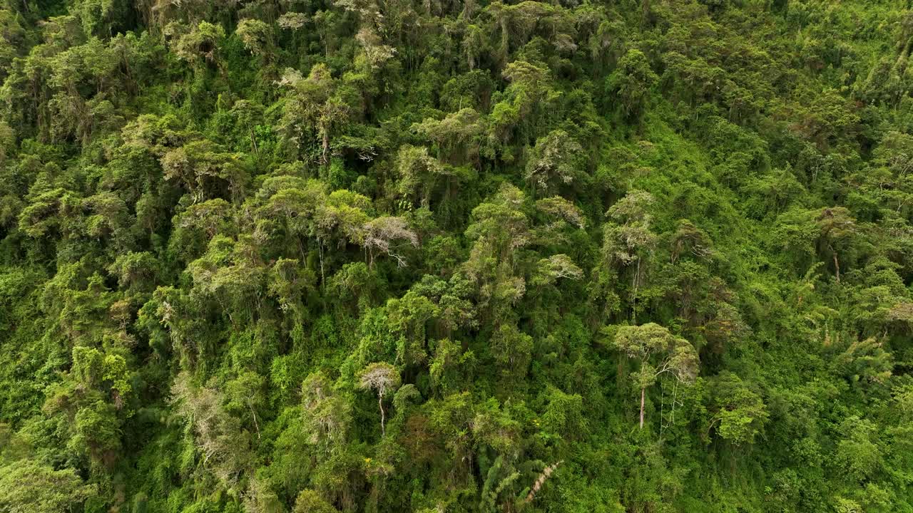 vista aérea de drones sobre las montañas y la selva tropical alrededor de la ciudadela de machu picchu
