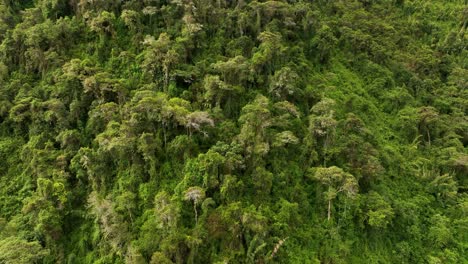 aerial drone fly view over the mountains and rainforest around machu picchu citadel