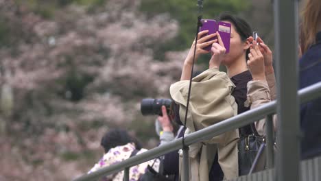 señora tomando fotos en el teléfono inteligente