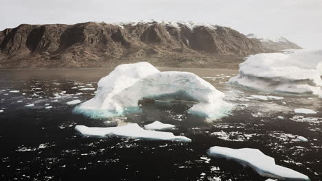 icebergs in arctic waters