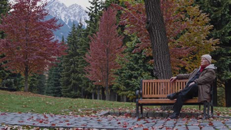 Elderly man on a park bench in autumn, surrounded by colorful trees and mountains