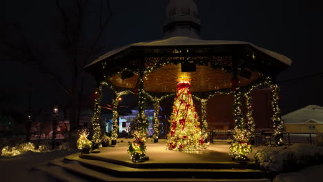 decorated lit christmas tree at night