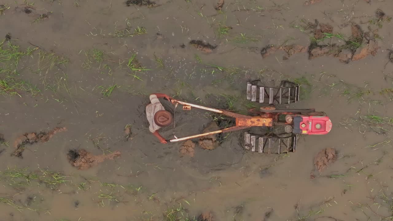 Contadini che piantano riso in un paesaggio tropicale, vista da drone, Indonesia