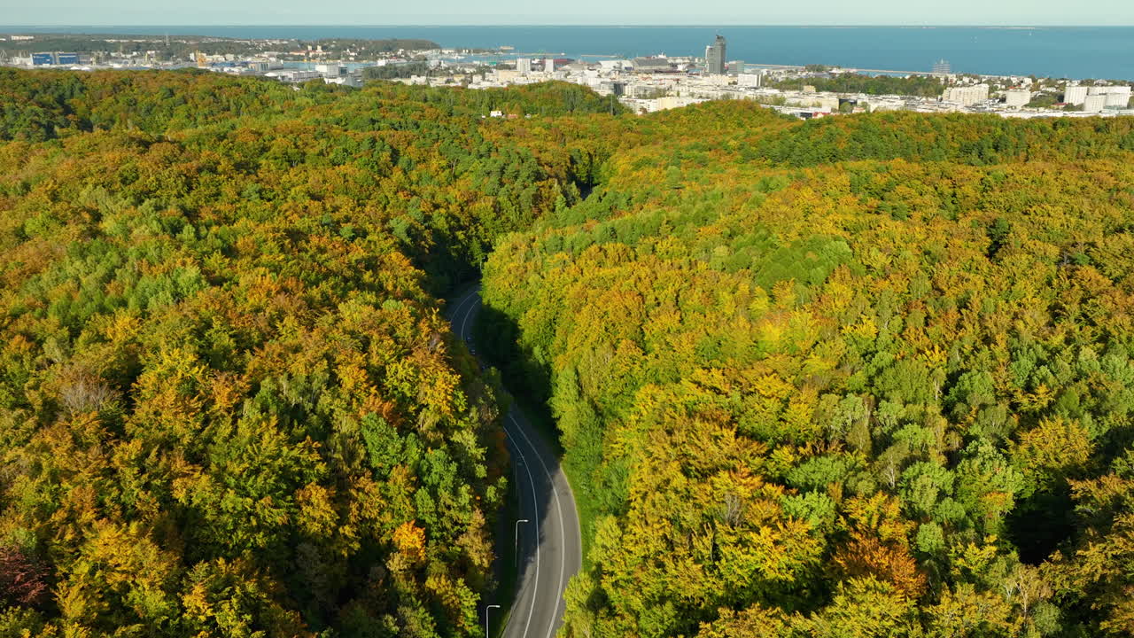 Curving road through dense autumn forest with cityscape and ocean in the distance, aerial view capturing urban and natural contrast